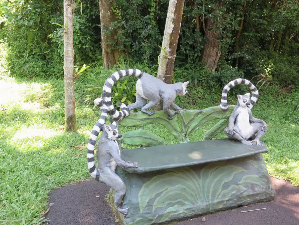 Lemur bench.