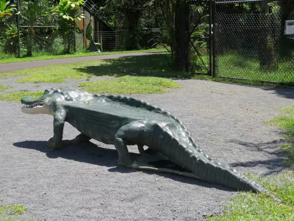 Crocodile bench!