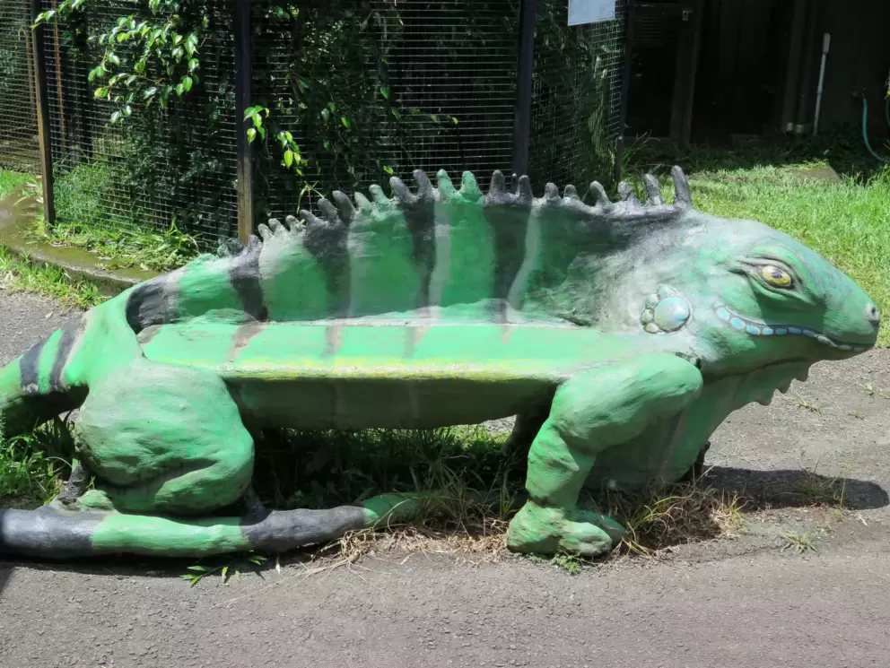 Iguana bench.