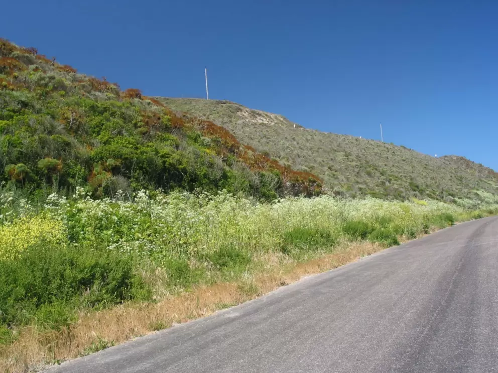 A feeling of freedom as you drive along the open roads to Surf Beach and Ocean Beach. See the lovely wildflowers everywhere!
