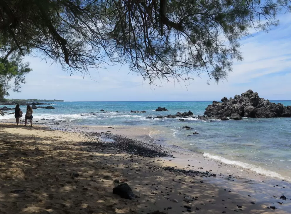 Walking to the left, in the shade of kiawe trees.