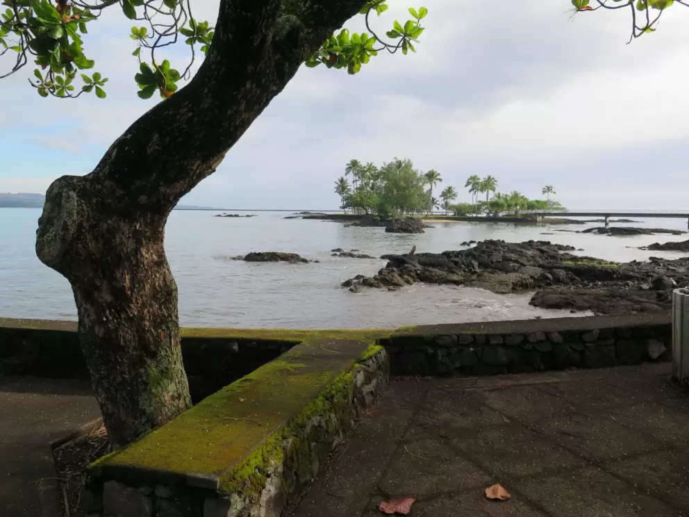 Looking toward Coconut Island from Lihiwai Street, at Lilioukalani Gardens.