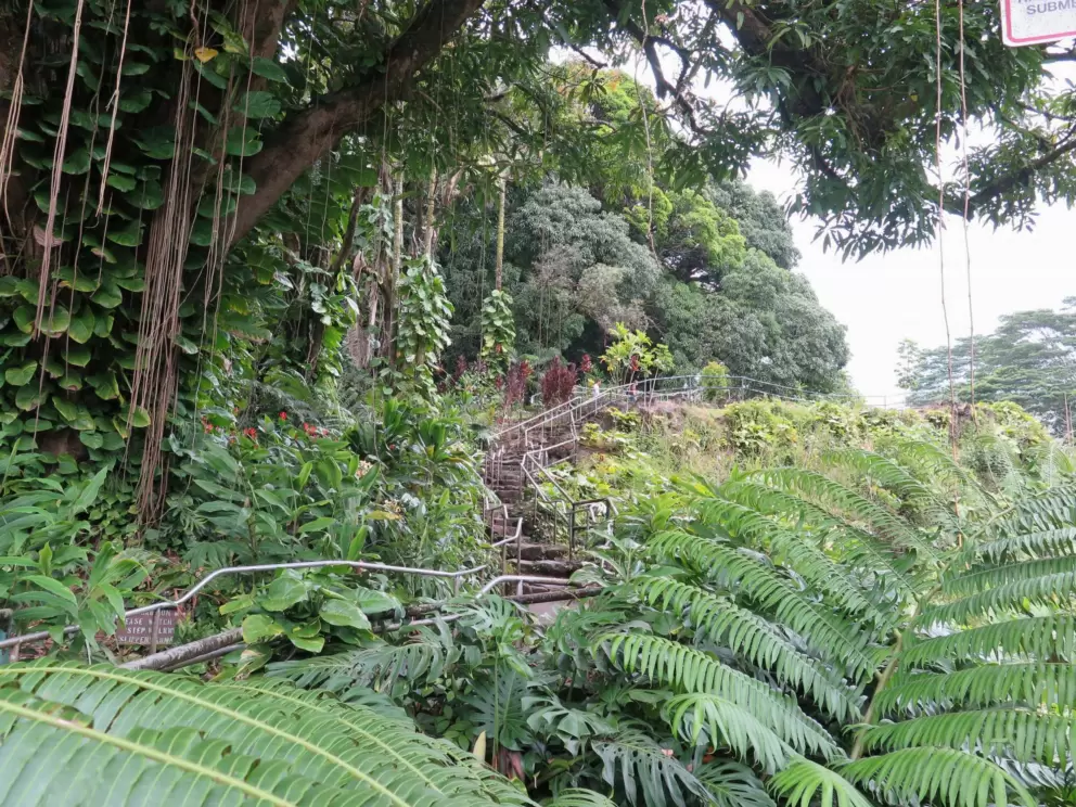 Twisty path to the upper lookout.