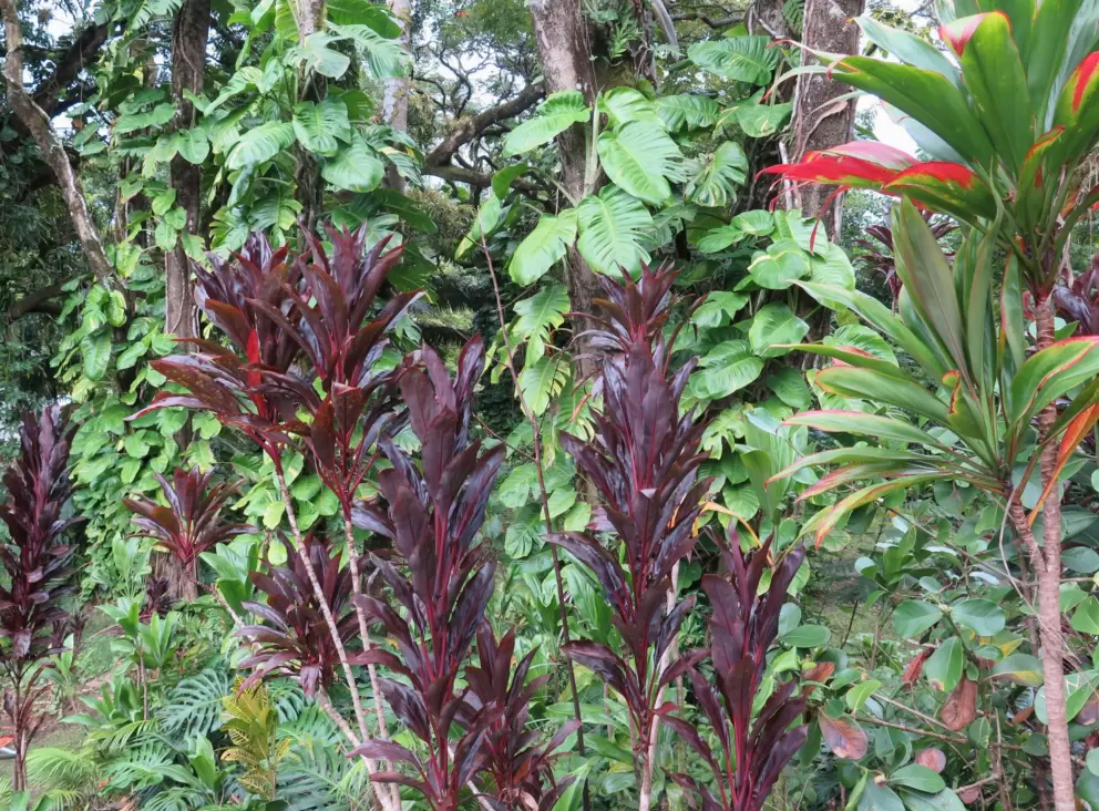 Red and green.