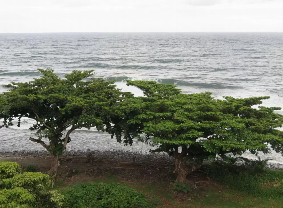 Trees to the right of the beach.