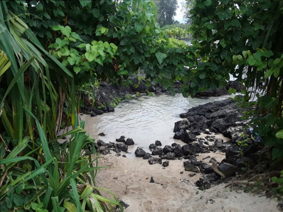 Little cute sandy spot where you can enter the water at high tide, on the left side of the beach park.