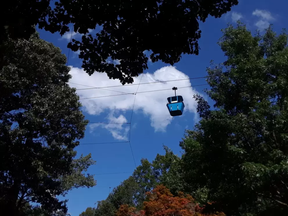 Skyride gondola.