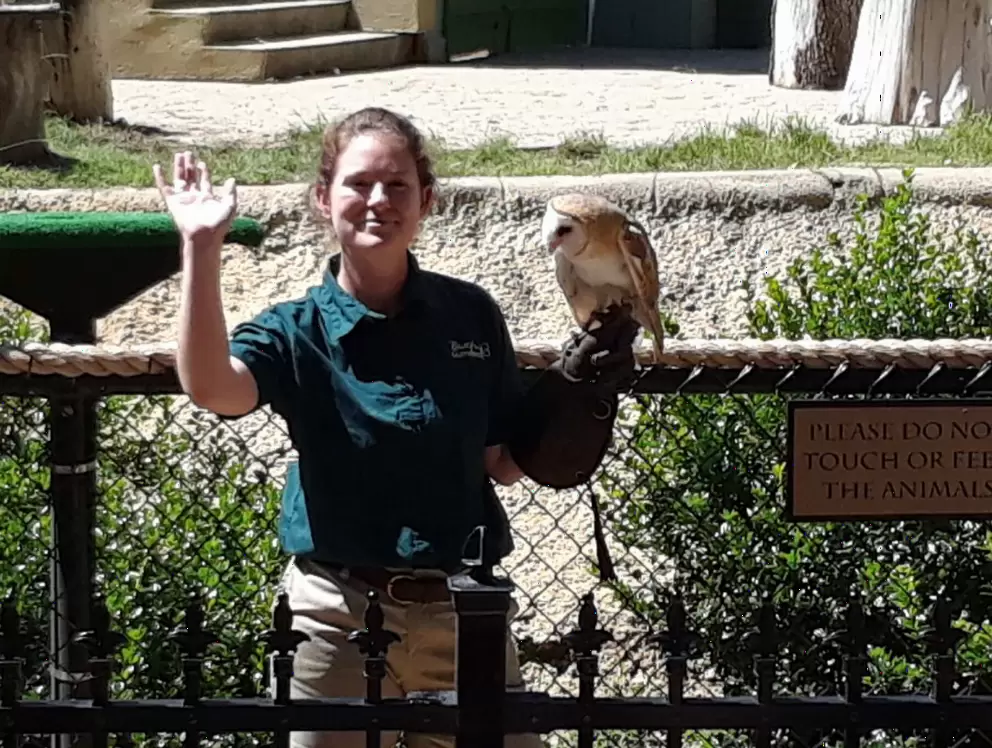 Owl, in the Howl to Exist show.