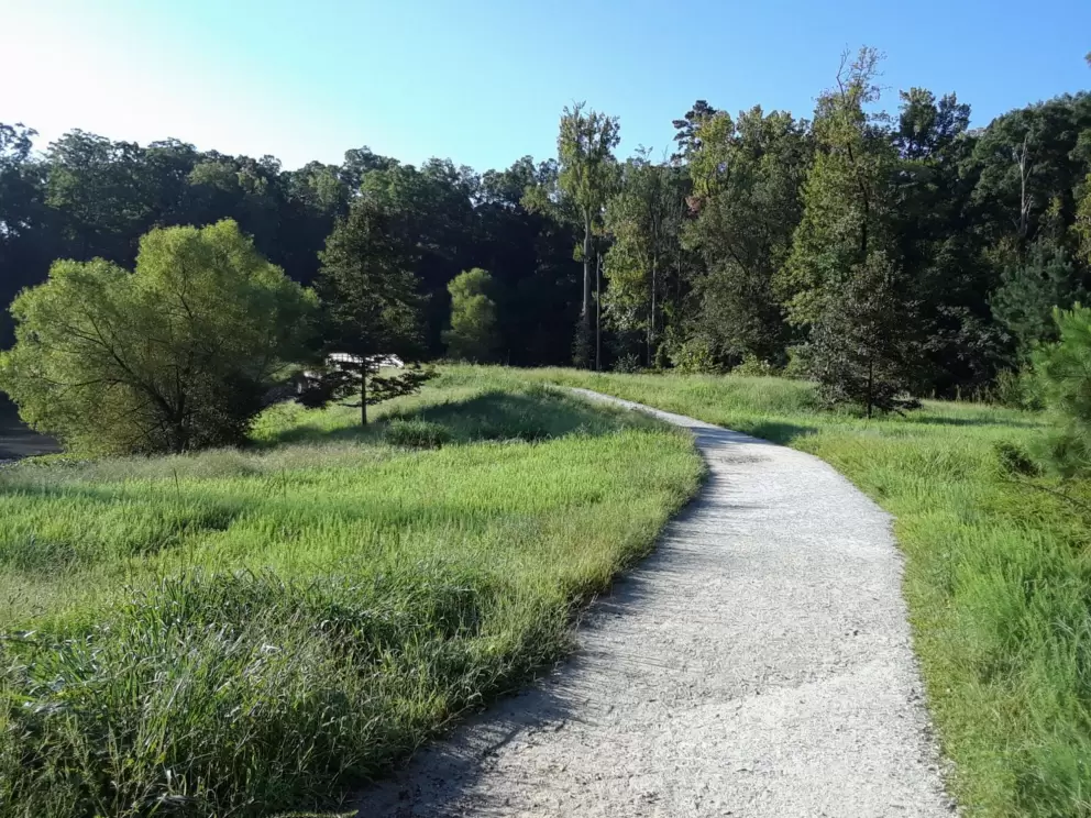 Path through the wetland area.