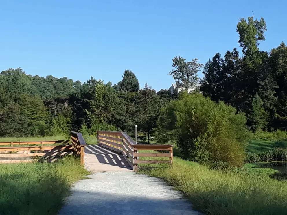 Bridge over the wetland. 