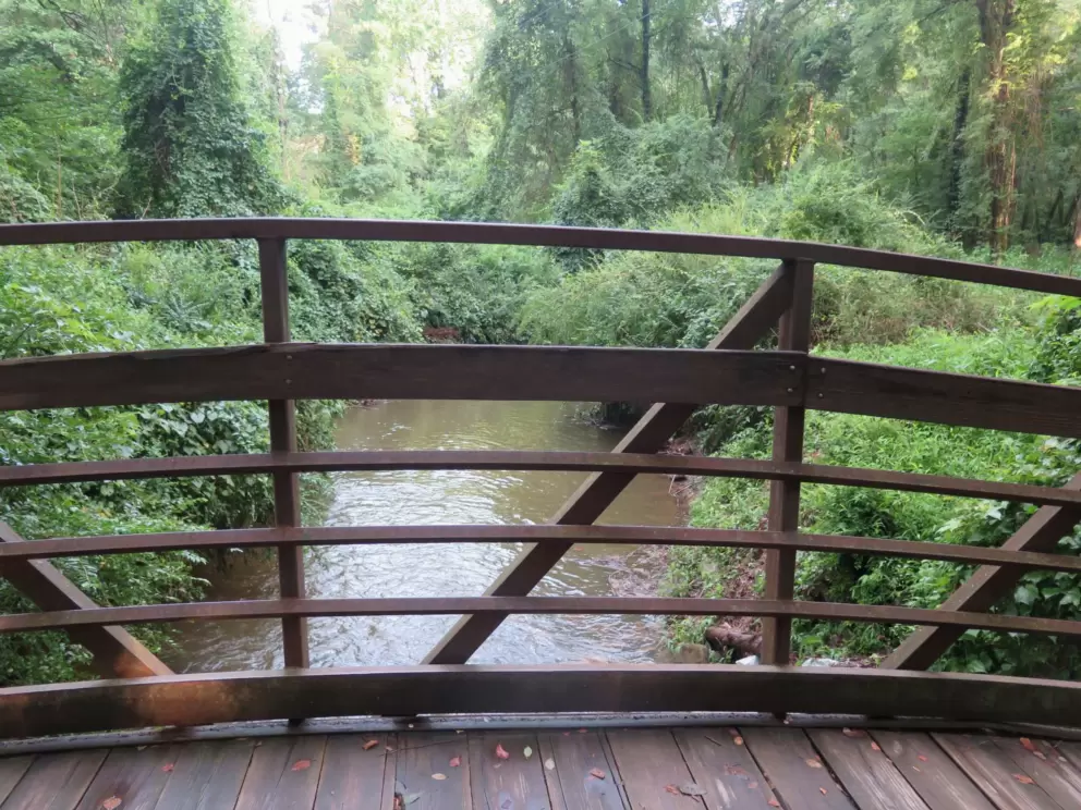 Bridge and stream.