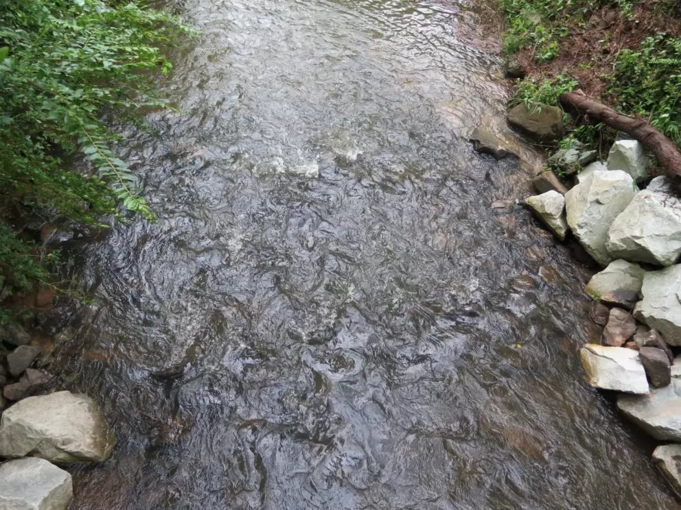 Stream after a rain.