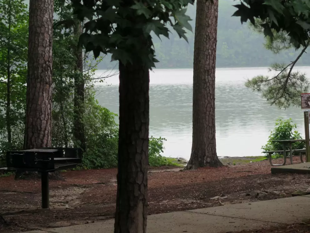 Picnic table and BBQ on the water.