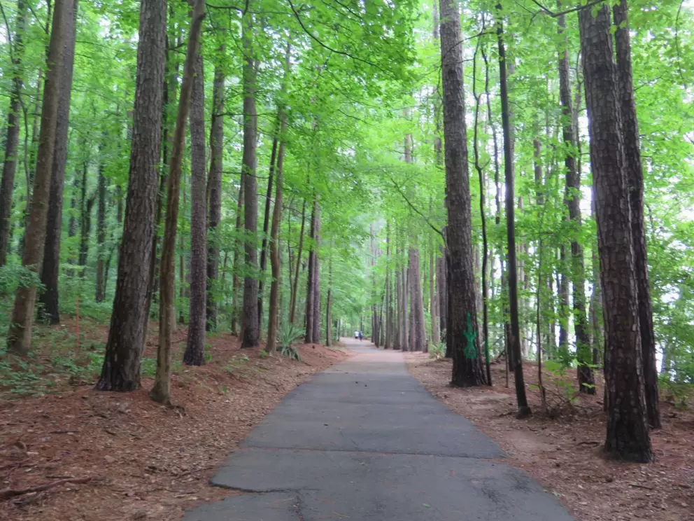 Bright green leaves.