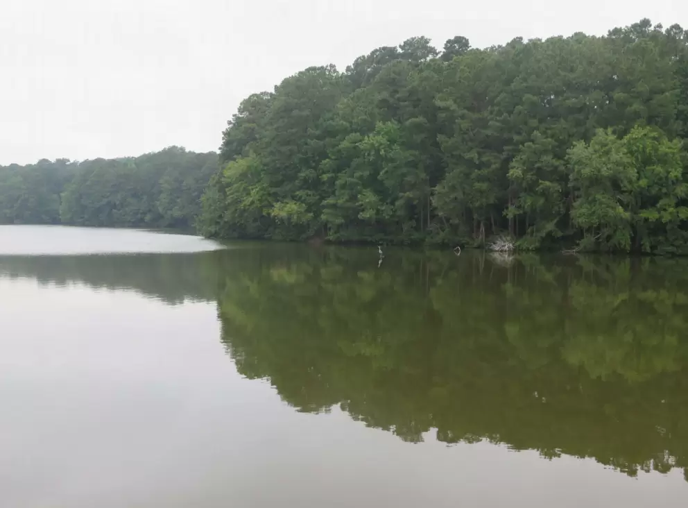 Reflection on the lake.