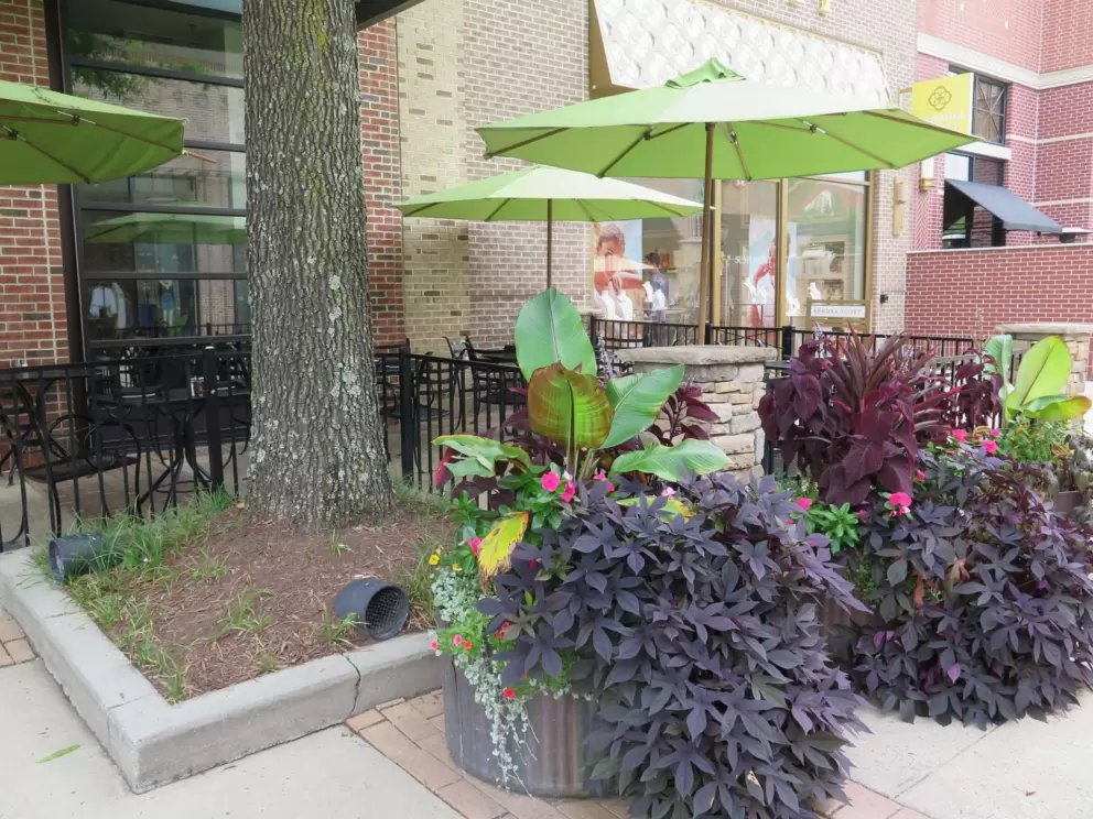 Overflowing flower pot.