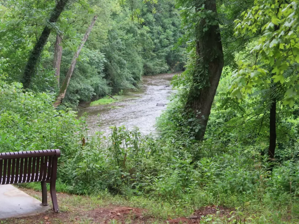 Bench with a view.