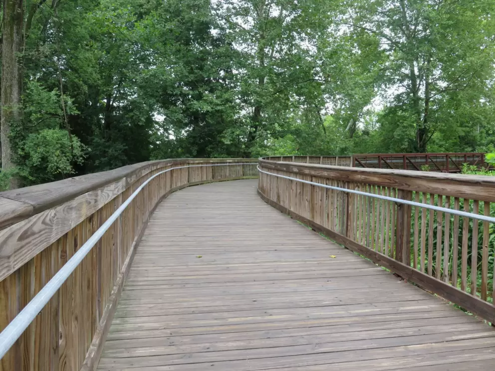 Boardwalk.