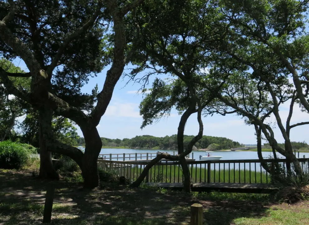 Looking across the water to Carrot Island.