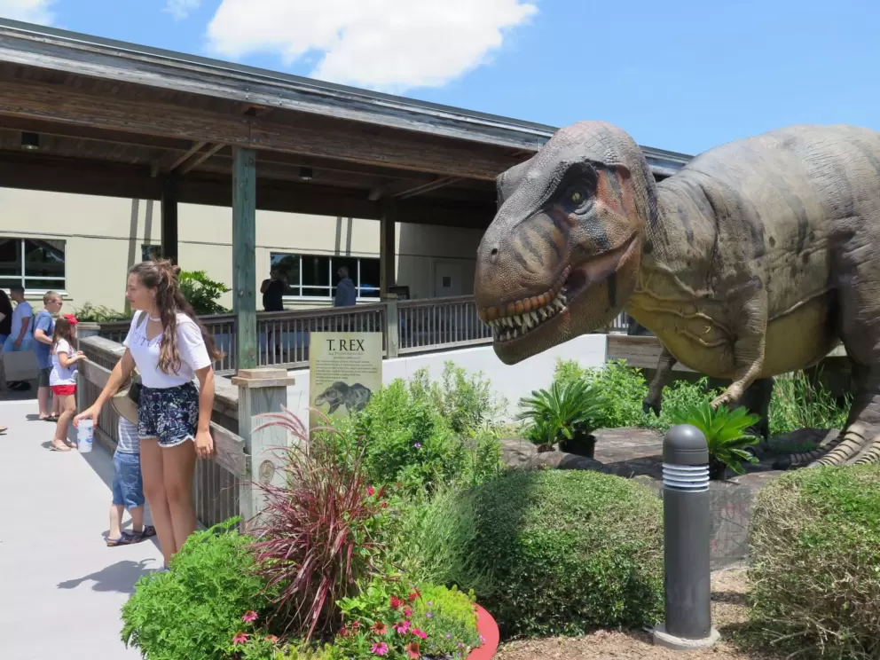 Dinosaur on the attack! The dinosaur walk was a temporary exhibit.