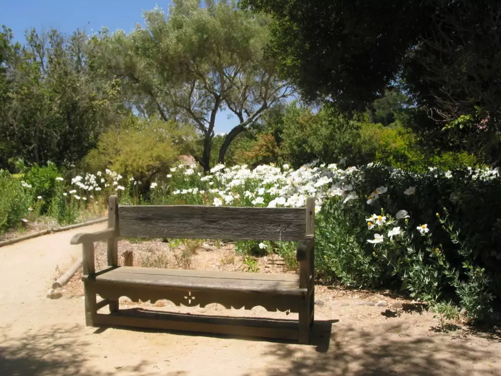 A bench beside flowers.