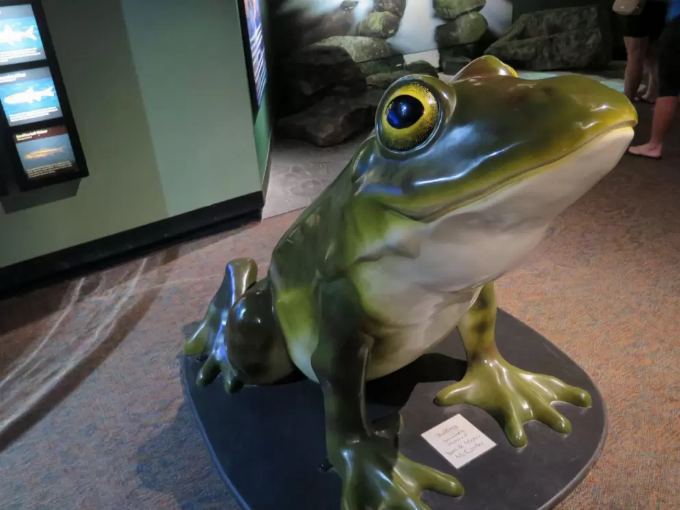 Frog sculpture.