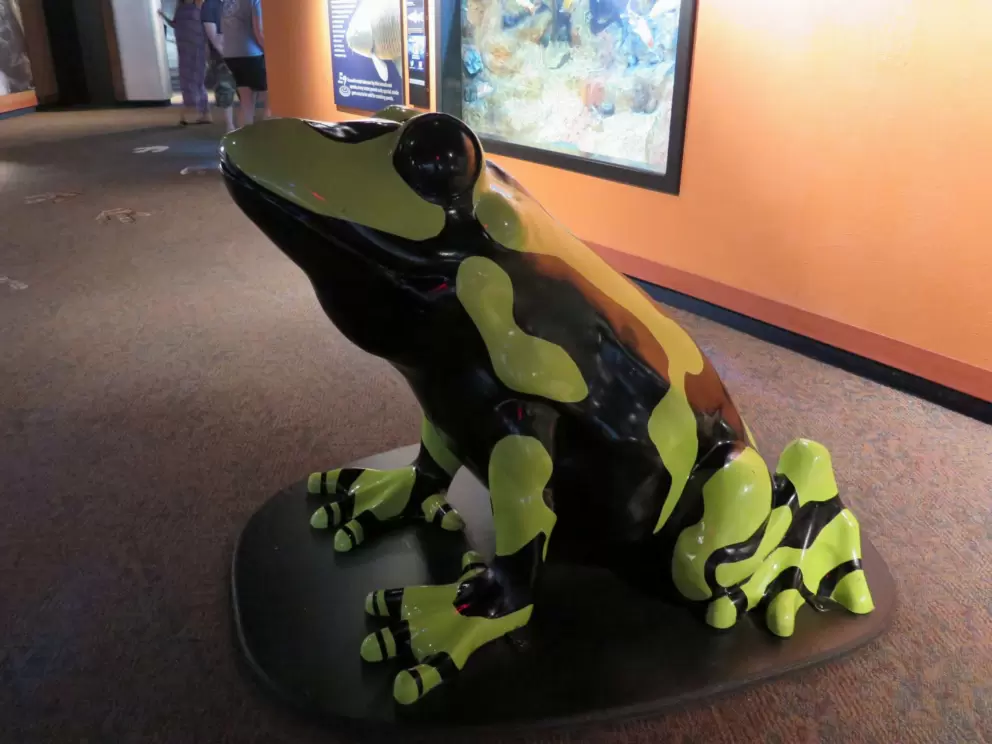 Spotted frog sculpture.