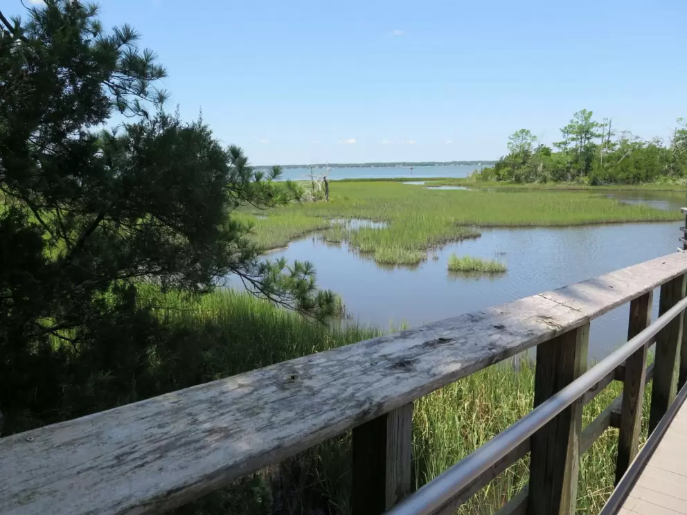 Boardwalk down to water views.