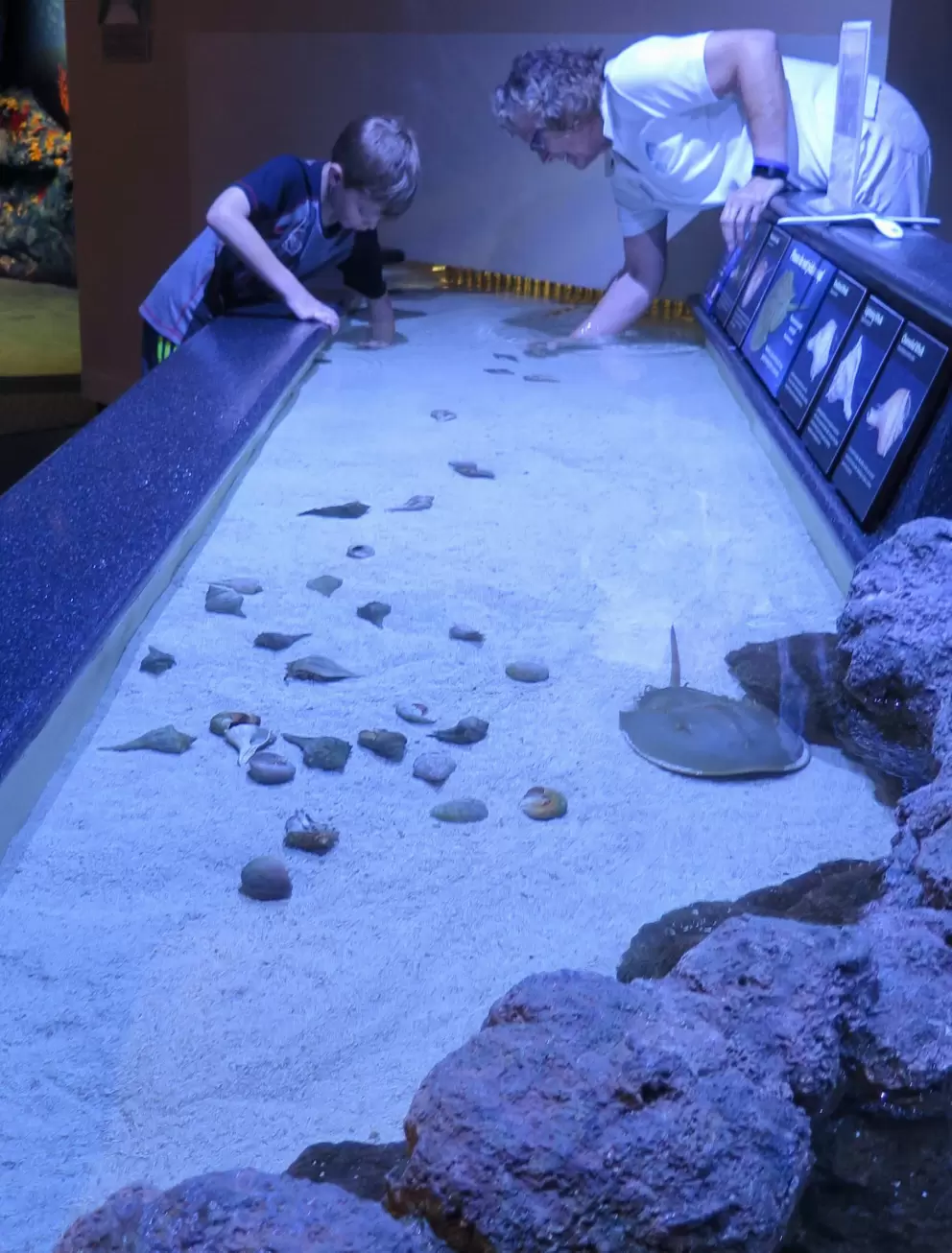 Touch tank fun.