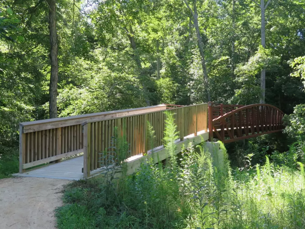 Bridge.