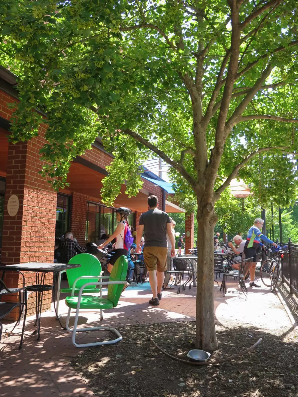 Trees and tables at Weaver Street Market.