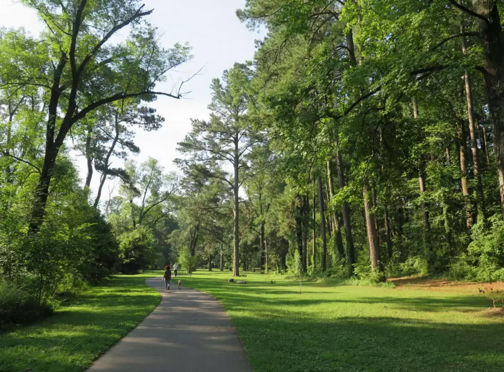 Open spaces make this path nicer than the forest paths.