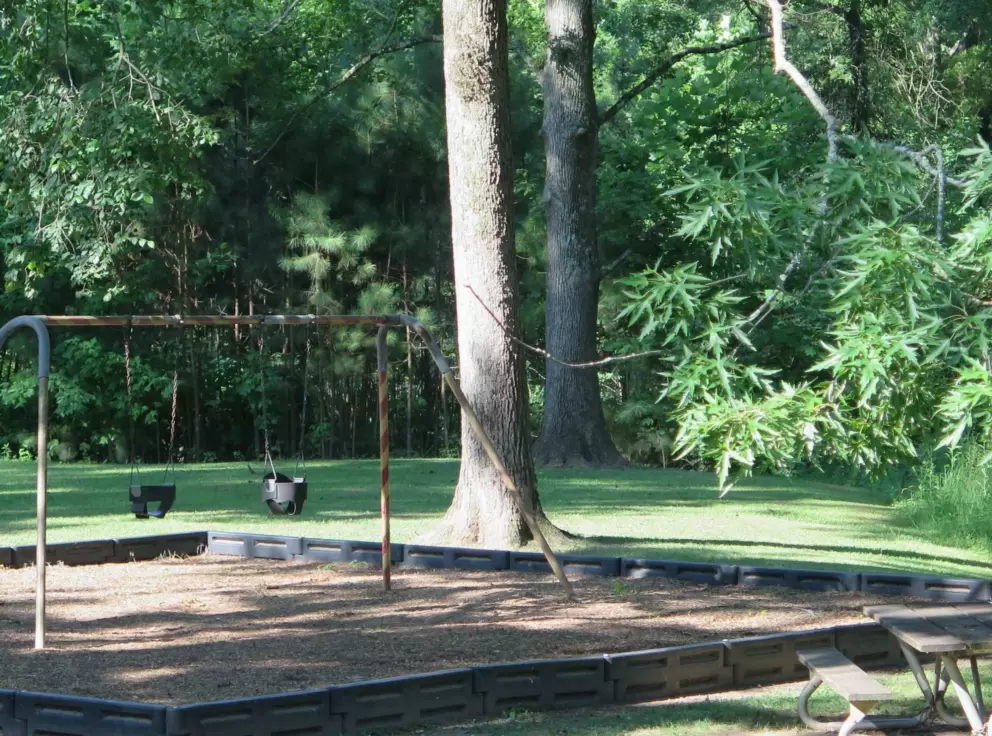 Baby swings and picnic table.