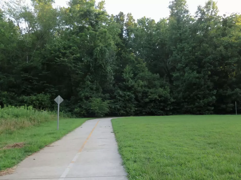 The path.