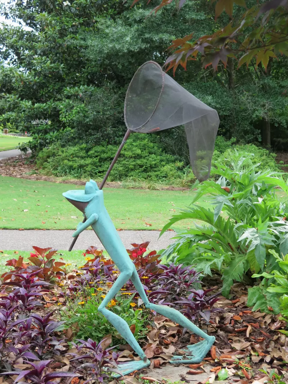 You can't help but love this frog!