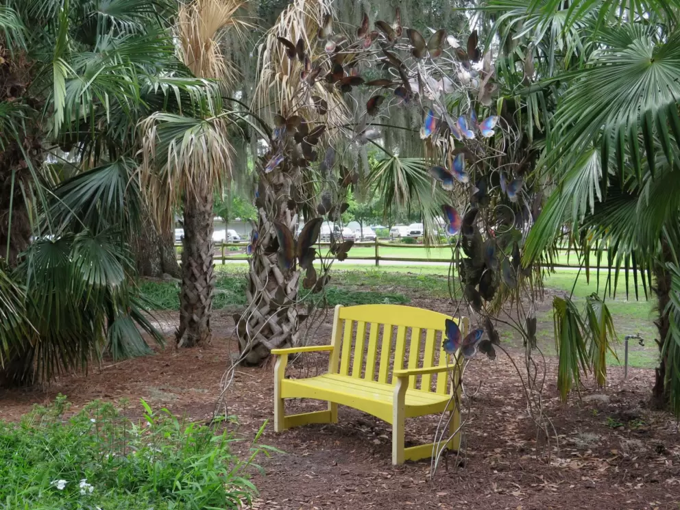 Yellow bench in a tropical spot.