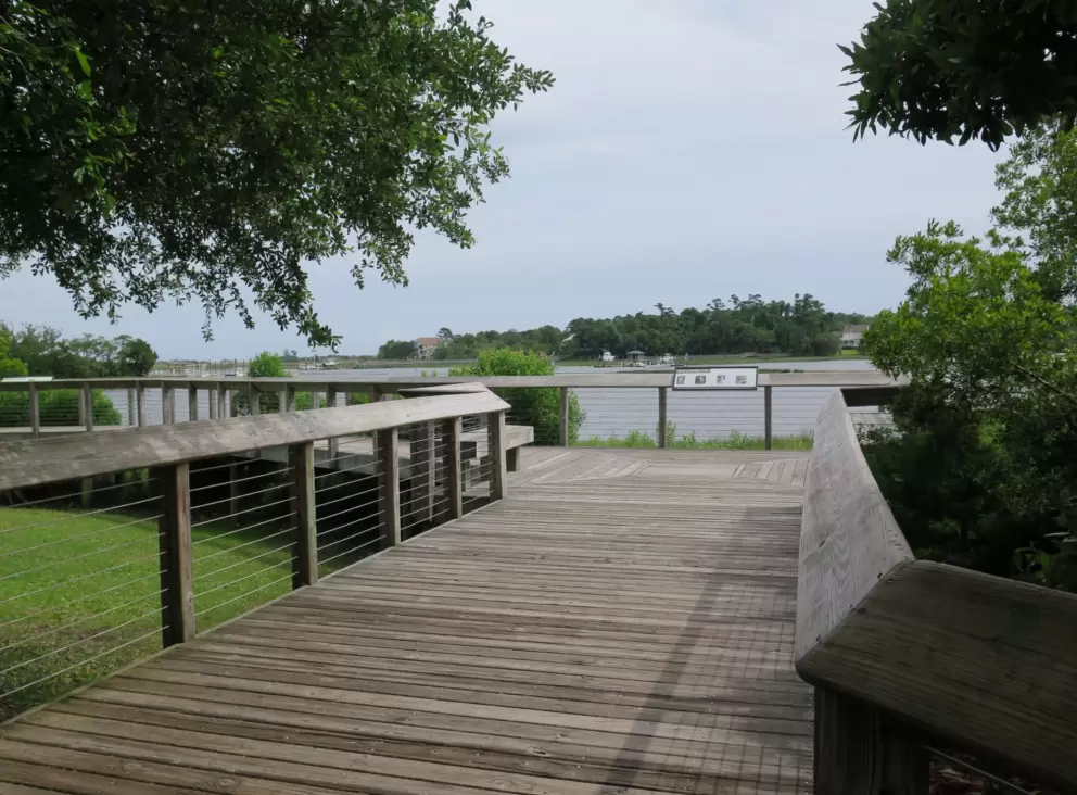 Boardwalk with views over Bradley Creek.