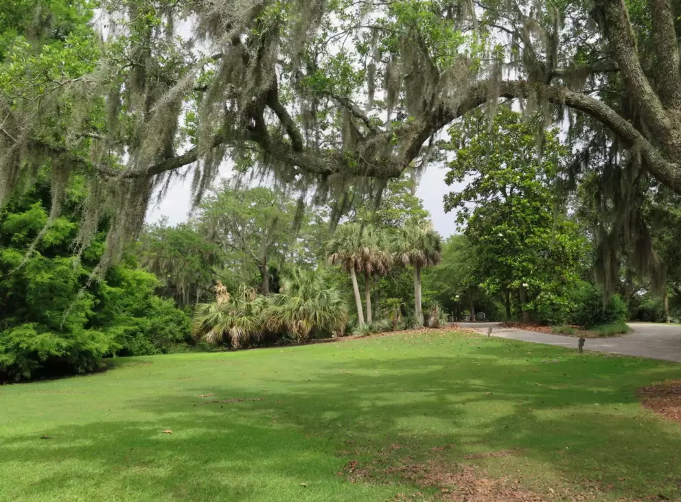 Green lawn stretching out toward a cluster of palms.