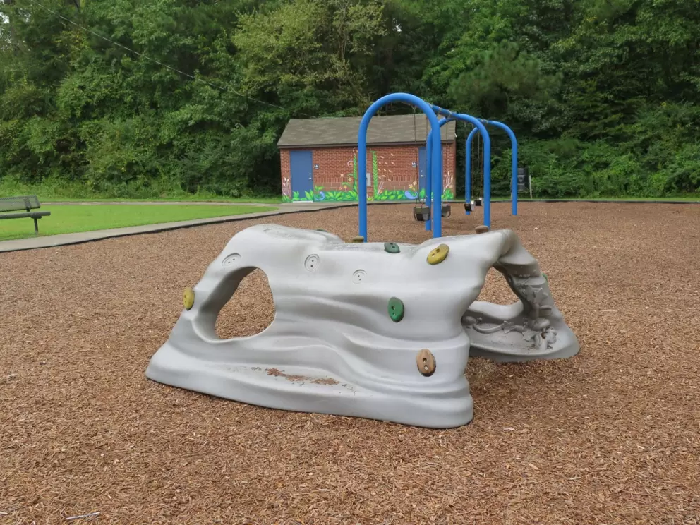 Rock climbing tunnel, swings, and painted building.
