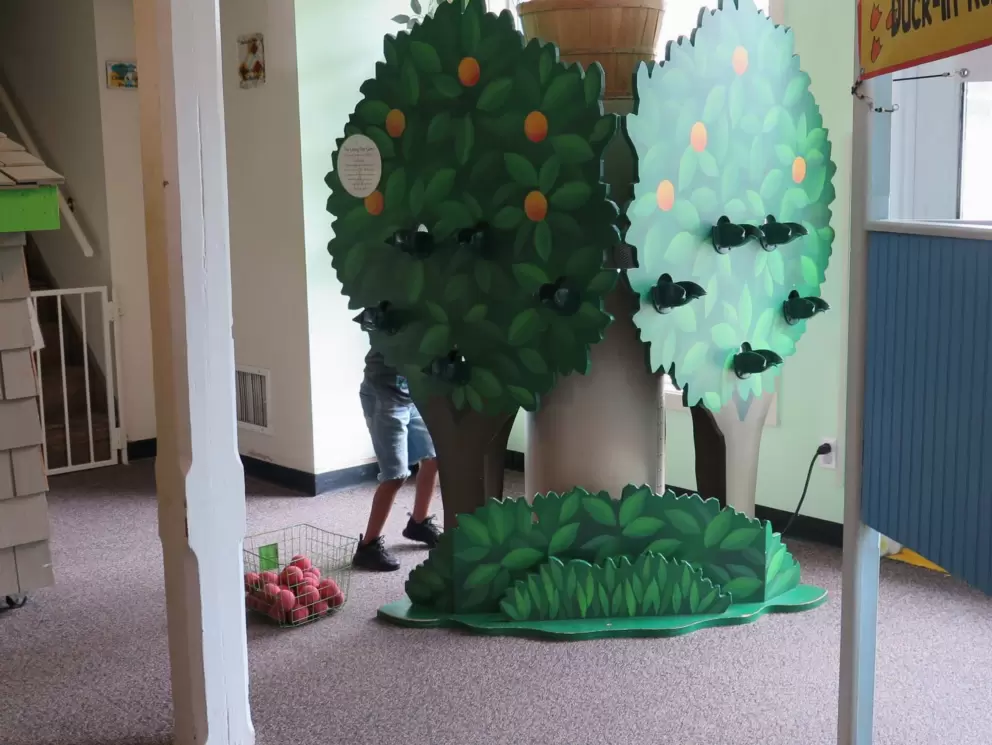 Pick the oranges from the trees!