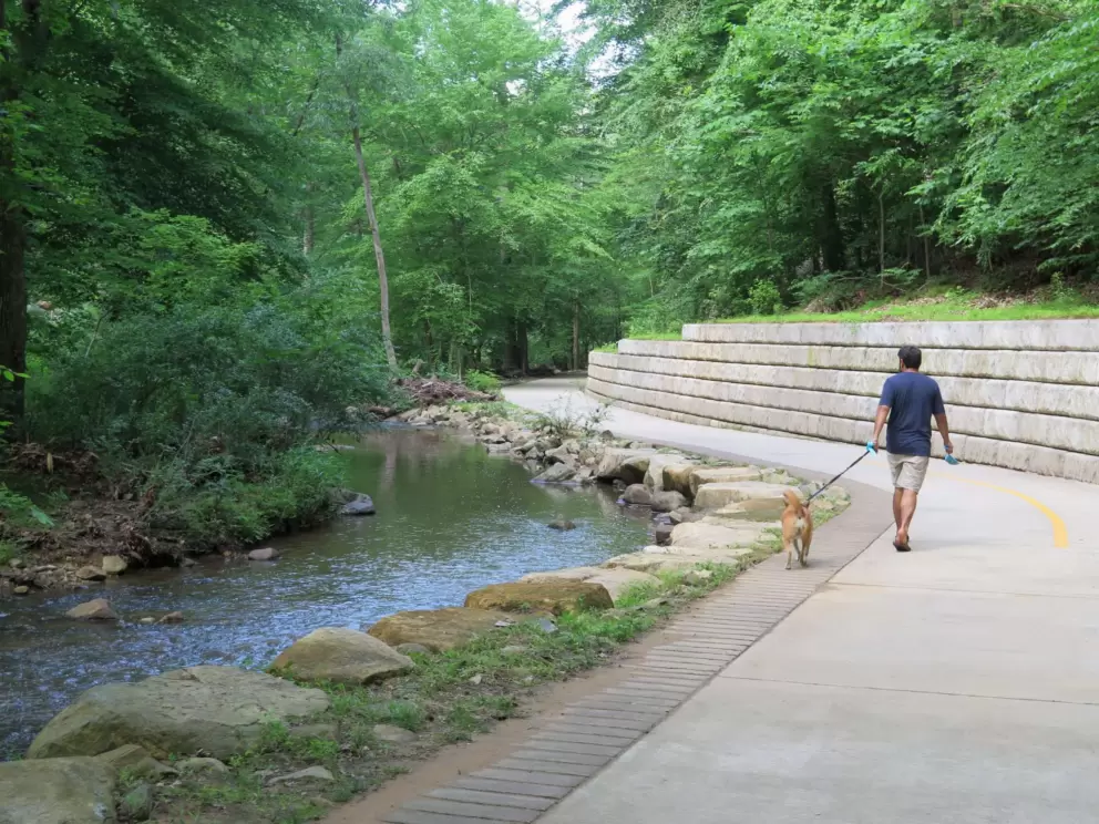 Walking a dog along Bolin Creek by Umstead Park.