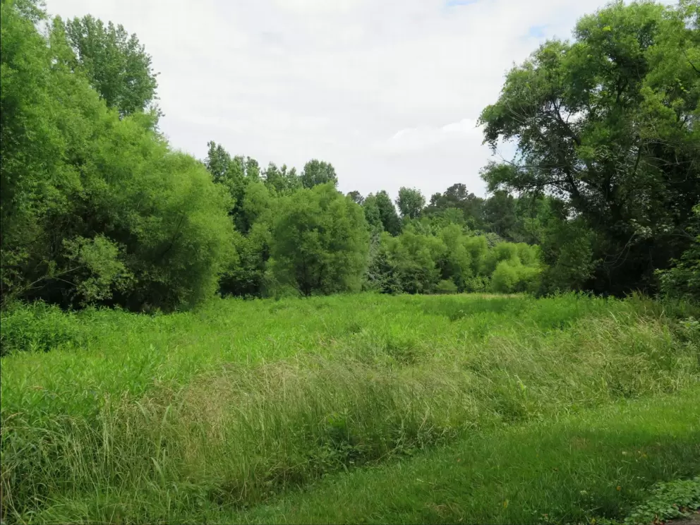 Open space which is pleasant to the eye.