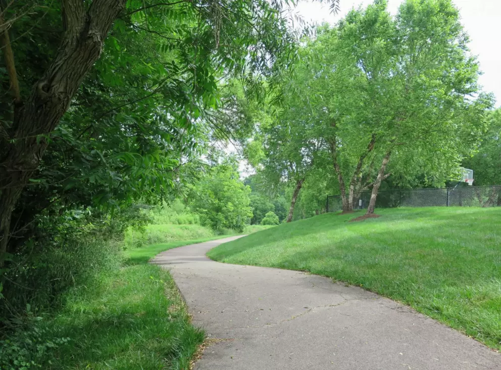 Little hill and curve in the path.