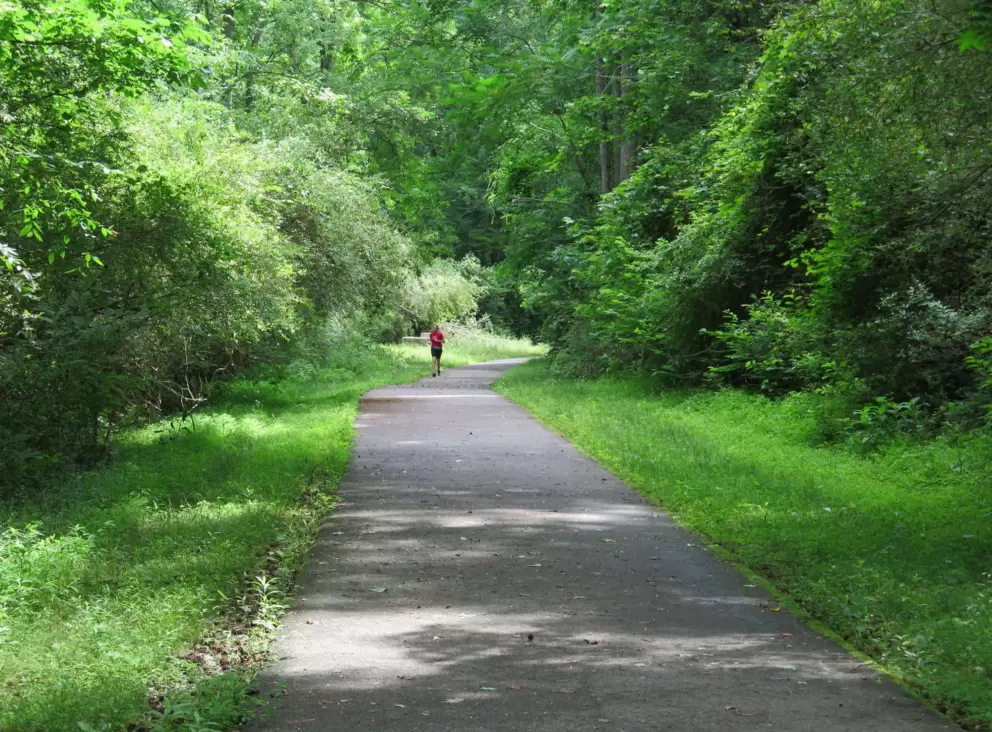 A runner enjoying the path.