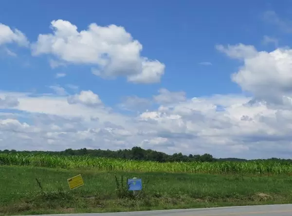 Corn fields.