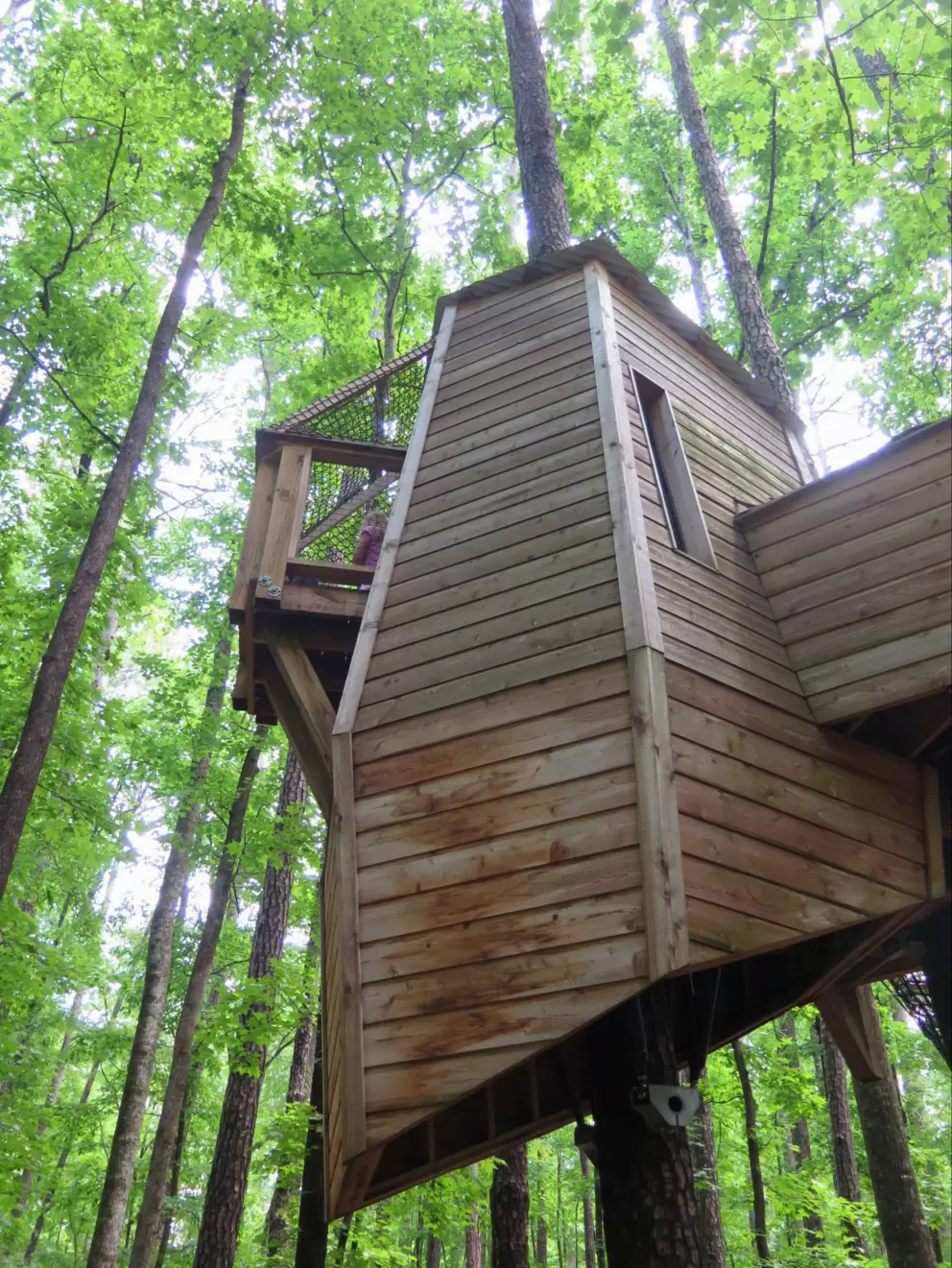 Amazing playground up in the trees.