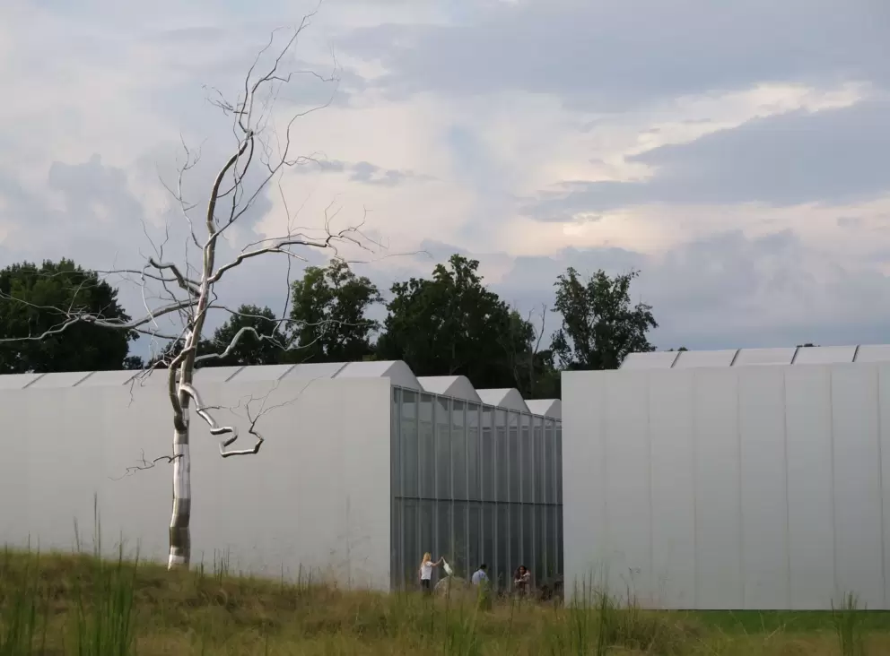 Silver tree and stormy sky.