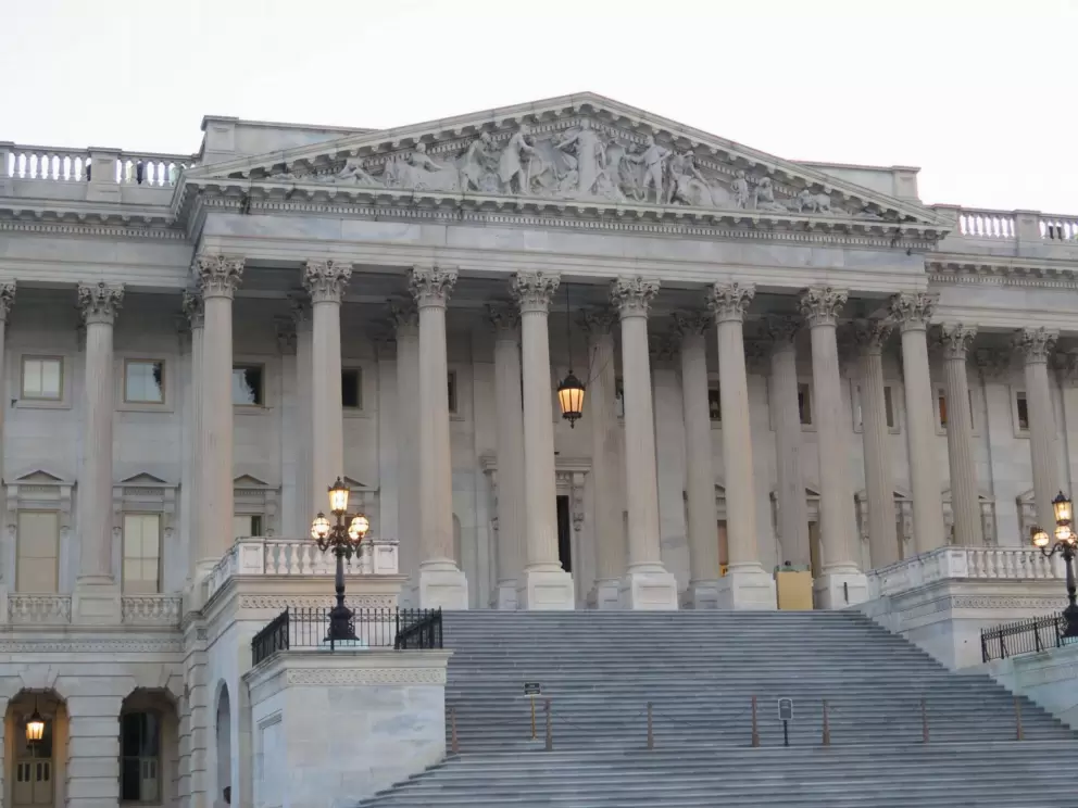 Grand columns on the Capitol.
