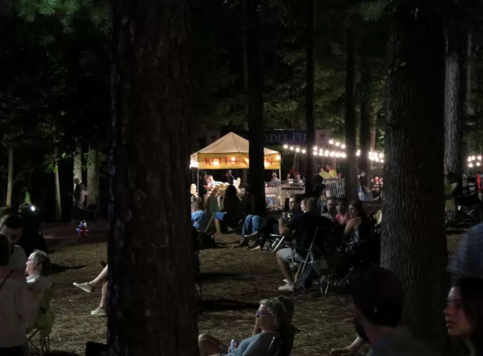 Sitting in the woods, like camping!