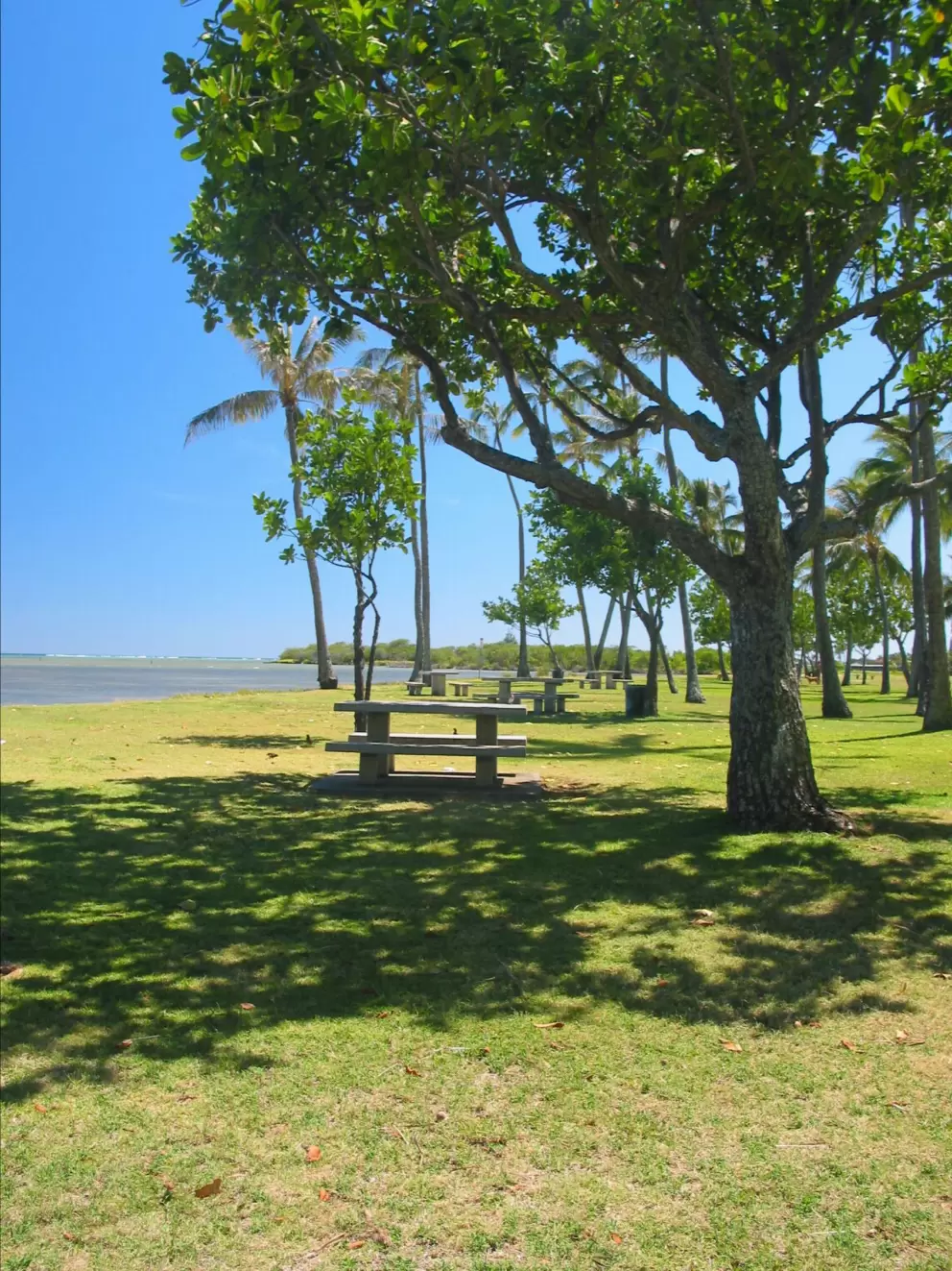 Picnic table at Kuliouou Park.